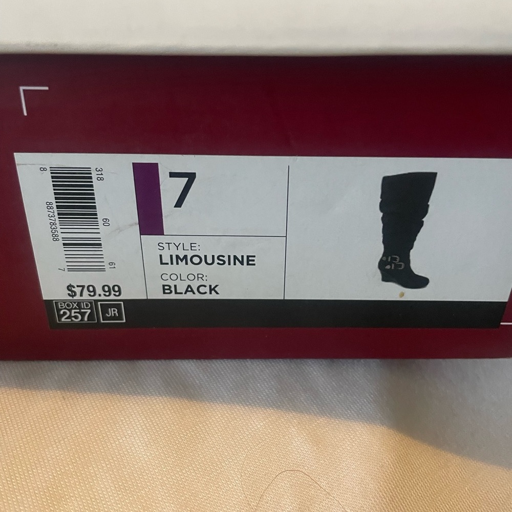 Woman’s boot - Picture 2 of 2